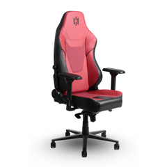 Chaise Gaming SKILLCHAIRS SC12 DRAGON